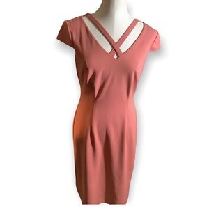 Connected Apparel Size 6 Pink Midi Sheath Dress